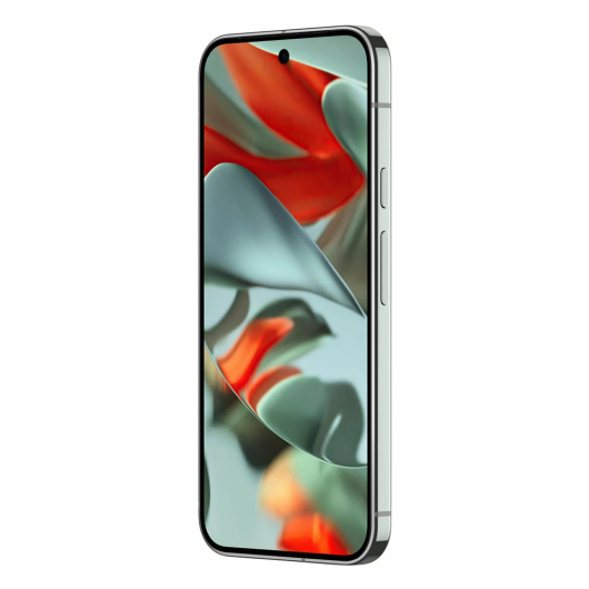 Google Pixel 9 Pro XL 16/256Gb Зеленый (JP)