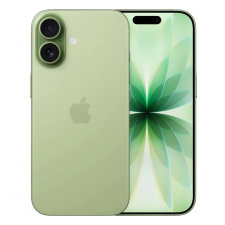 Apple iPhone 17 256 GB Sage eSIM (без RuStore)