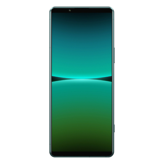 Sony Xperia 5 IV 8/256Gb (XQ-CQ72) Global Зеленый