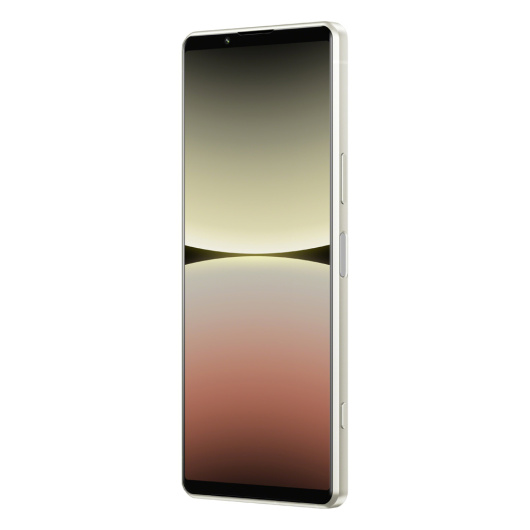 Sony Xperia 5 IV 8/256Gb (XQ-CQ72) Global Белый