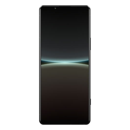Sony Xperia 5 IV 8/256Gb (XQ-CQ72) Global Черный