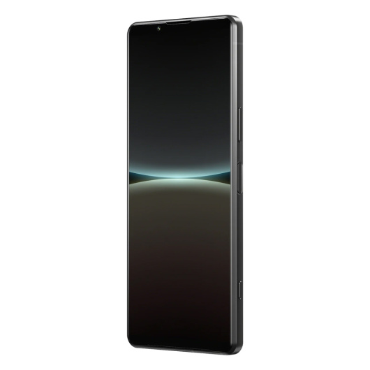 Sony Xperia 5 IV 8/256Gb (XQ-CQ72) Global Черный