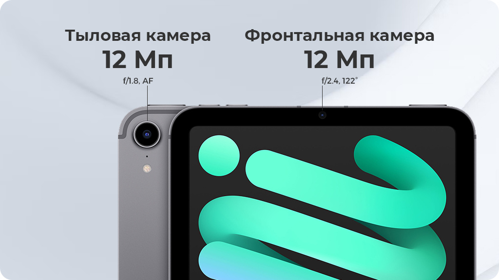 Apple iPad mini (2021) Wi-Fi 256Gb Серый